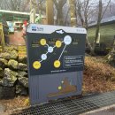 41190-01-07-117 | [제주] 3월 한라산 눈 상태/3월 한라산 등반 준비물 아이젠 및 꿀팁/한라산 완등 실패 후기