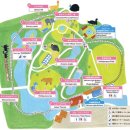 대해로 4 이미지