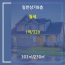 분당-320 네이버블로그