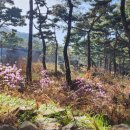 차령펠리스 이미지