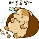 꿀도야떡갈비 - 담양군 메타프로방스2길 6-12 | 꿀도야떡갈비