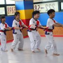 ACE 태권도장 이미지