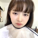 도니가 이미지
