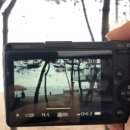 더 헤이븐(The Haven) 이미지
