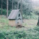 소닉헬스케어 주식회사 | 듀얼소닉으로 홈 헬스케어 제대로 하기 (피부탄력, 주름개선, 홈케어)