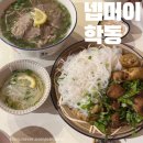 넵머이 | [넵머이]학동 베트남 음식점 쌀국수 맛집