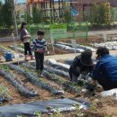 농원농산 이미지