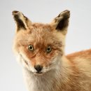 강원특별자치도산림박물관 이미지