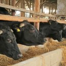 상식 축사 이미지