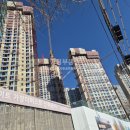 힐스114공인중개사사무소 이미지