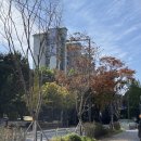 미성건축사사무소 이미지