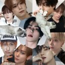 주은마트 | 주은이: 히히 재밌다 ꒰ ྀི12月 ꒱