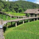 Bamboo 뱀부 | [태국 빠이 여행] 4탄 - 뱀부 브릿지(Bamboo bridge) 후기