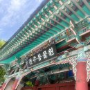 (사)전주시장애인정보교환센타 | 전북여행 전주 가볼만한곳 &#39;전주동물원&#39;