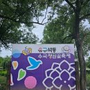 실시간 충남 공주 유구 색동수국정원 2025 솔직후기｜수국축제 절정! 인생샷 명소, 가족나들이·데이트...