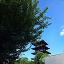 태일오피스텔 | 뜨거운 효자의 뜨거운 교토 여행 (3일차)