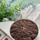 써니&떡케이크