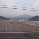 장바우농장 이미지