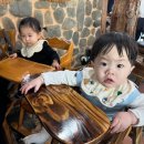 얼쓰 턱받이 가격 빕게팅 실사용 후기(EARTH) 코니와비교