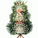 도봉-도봉-서울도봉-2282 이미지