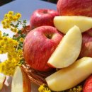 영천우리농장 이미지