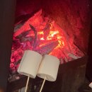 헤리티스 | 홍천 풀빌라 헤리티스 럭셔리 독채 온수풀 내돈내산