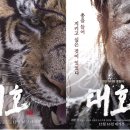 대호 이미지
