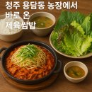 GS농장 | 쌈채소가 다했네! 청주 용담동 농장에서 바로 온 제육쌈밥의 신선함