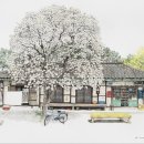 시간의 온기 이미지