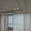 수송세영리첼 이미지