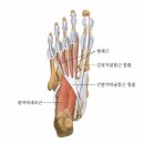 이수민에스테딕