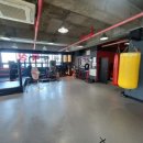 용인대SH복싱 이미지