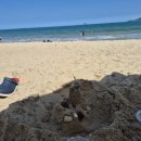 키즈클럽해맑은어린이집 | 나트랑 하바나 5인이서 1.5박 숙박한 후기 (커넥팅룸, 수영장, 키즈클럽, 전용비치, 조식+도시락)