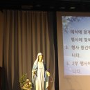 대양고등학교 | 나의 사랑했던 게으른 날들_이석원 <보통의 존재>중