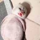 좌우당간