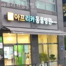 아프리카동물병원 | 강동구 강일동 동물병원 아프리카동물병원 진료시간 접근성 이용후기