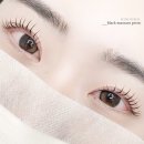 여주-1099 | 여주속눈썹 추천! 드디어 정착한 정결 마스카라펌 후기