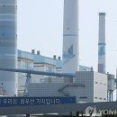 N제약_2 네이버블로그