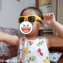 홍안경 이미지