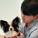 댕댕이 머리하는 날 이미지