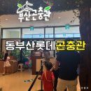 아이에비뉴롯데몰동부산점 | 동부산 롯데아울렛 부산곤충관 | 아이랑 실내 가볼만한 곳 솔직후기•위치•주차