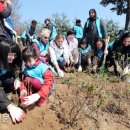 서빙고(근린공원) 이미지
