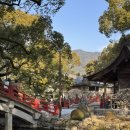 6105 | 유후인 일일 투어 당일치기 히타 버스투어 유후인 다자이후 히타