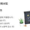 원헬스 동물의료센터 이미지