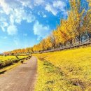 풍경힐링 이미지