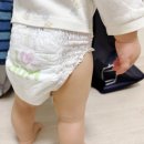 13개월째 사용 중인 네추럴 블라썸 기저귀 솔직 사용 후기