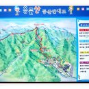 나이테펜션 이미지