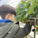 양남농장 이미지