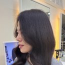 보하비 이미지