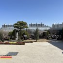 매화상회 이미지